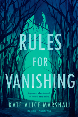 'Rules for Vanishing' cover